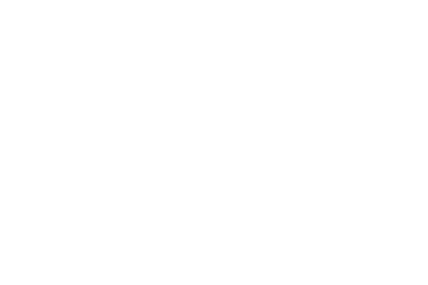 D&Mかもめ
